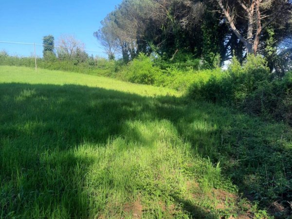 terreno agricolo in vendita a Roma in zona Flaminio