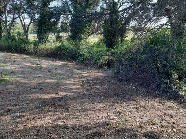 terreno agricolo in vendita a Roma in zona Flaminio