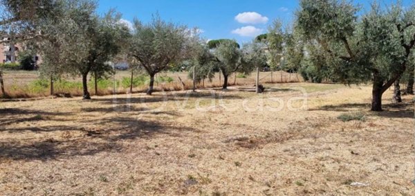 terreno agricolo in vendita a Roma in zona Casal Morena
