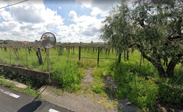 terreno agricolo in vendita a Roma in zona Centro Storico