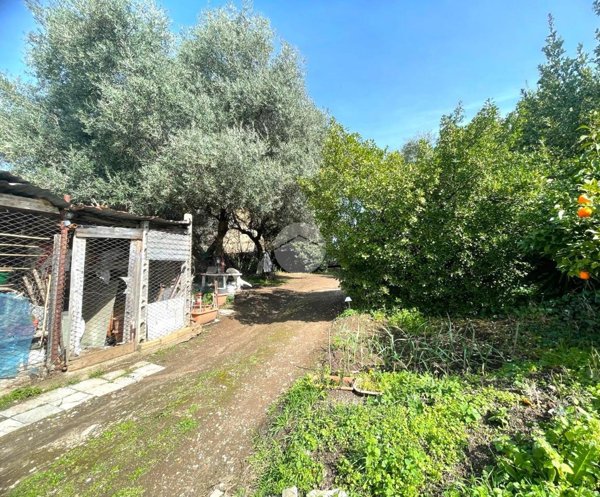 terreno edificabile in vendita a Roma in zona Torre Gaia