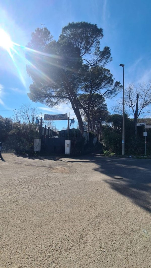 capannone in vendita a Roma in zona Pietralata