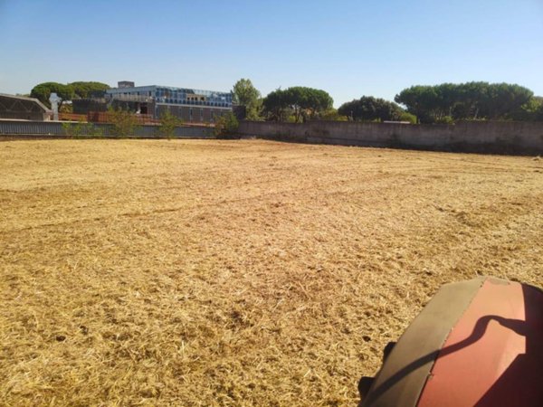 terreno agricolo in vendita a Roma in zona Ponte Mammolo