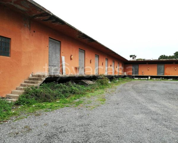 locale commerciale in vendita a Roma in zona Ostia Antica