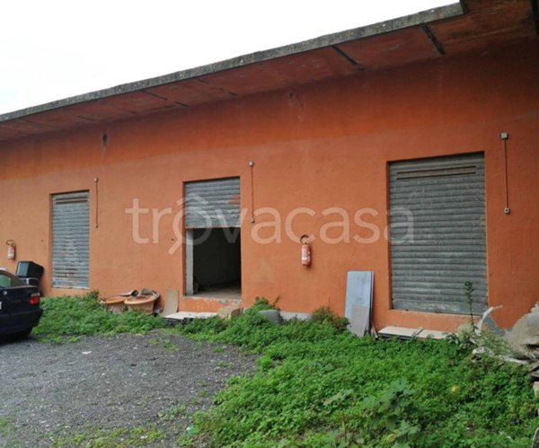 locale commerciale in vendita a Roma in zona Ostia Antica