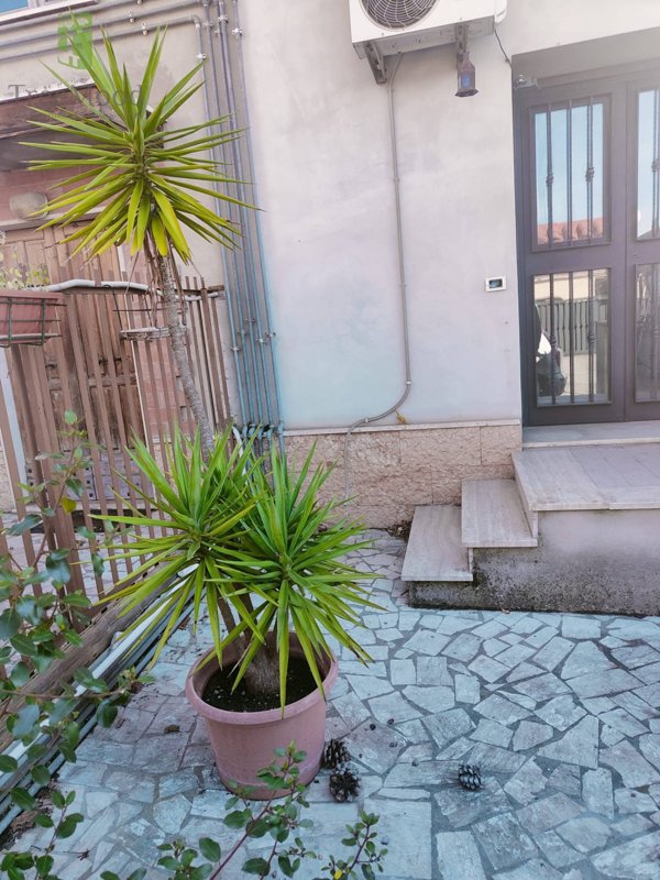 casa indipendente in vendita a Roma in zona Lunghezza