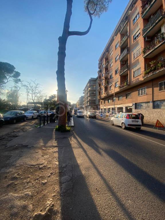 appartamento in vendita a Roma in zona Nomentano