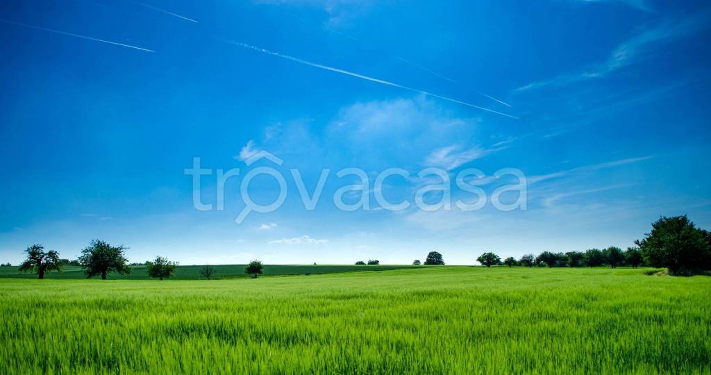 terreno agricolo in vendita a Roma in zona Ostiense