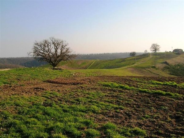 terreno agricolo in vendita a Roma in zona Acilia