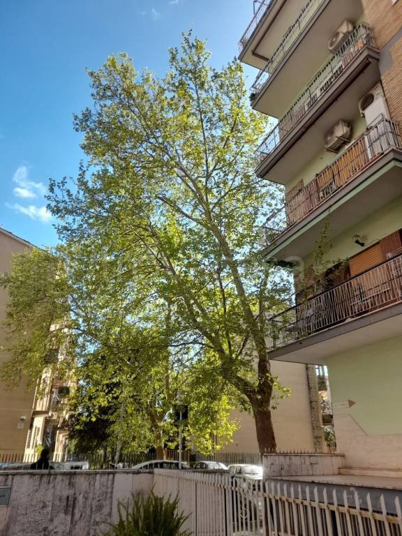 casa indipendente in vendita a Roma in zona Prenestino-Labicano