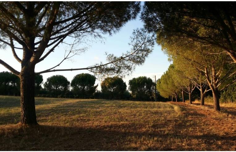 casa indipendente in vendita a Roma in zona Falcognana