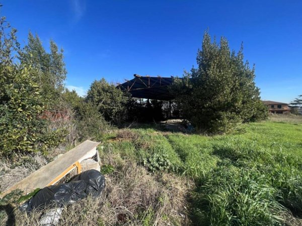 terreno agricolo in vendita a Roma in zona Acilia