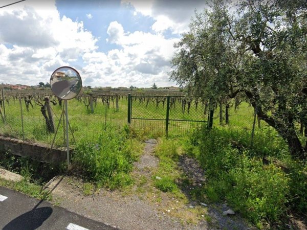 terreno agricolo in vendita a Roma in zona Trigoria
