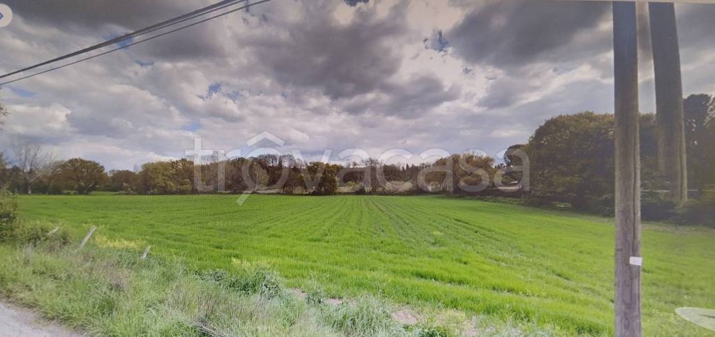 terreno agricolo in vendita a Roma in zona Marcigliana