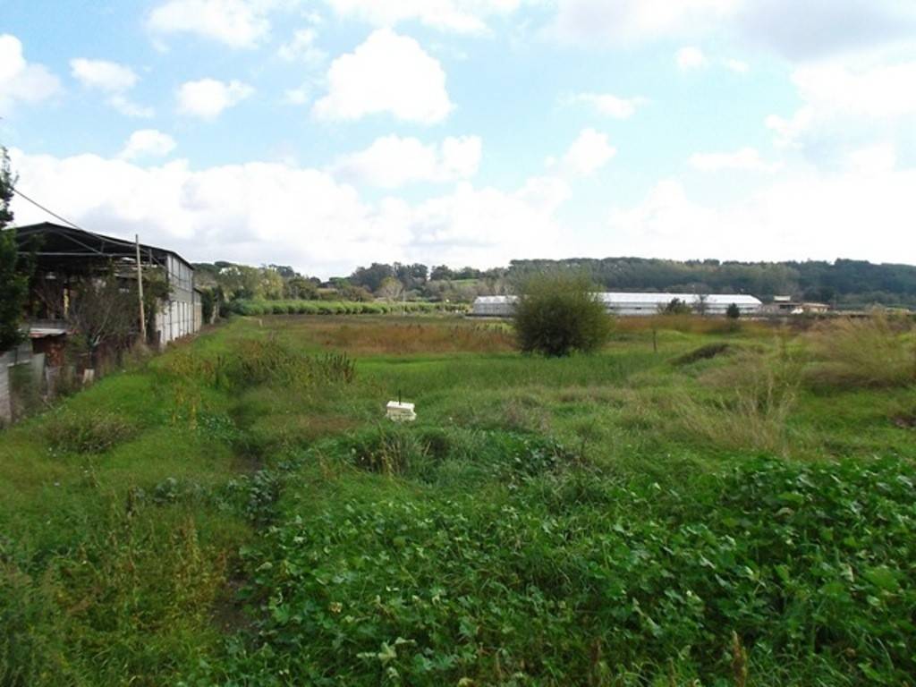 terreno agricolo in vendita a Roma in zona Pantan Monastero