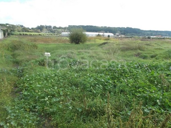 terreno agricolo in vendita a Roma in zona La Storta