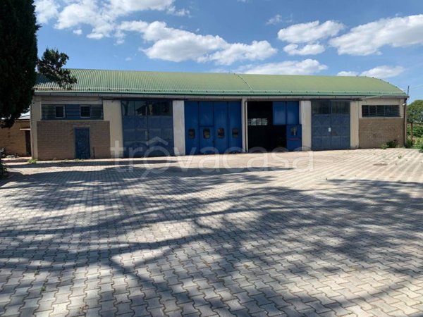 immagine annuncio 0 di 15