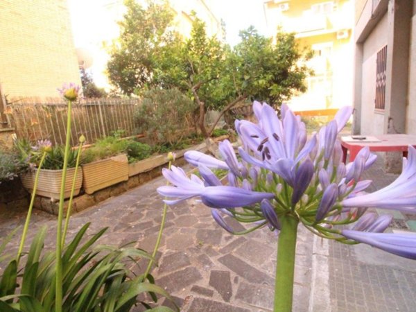 appartamento in vendita a Roma in zona Trionfale