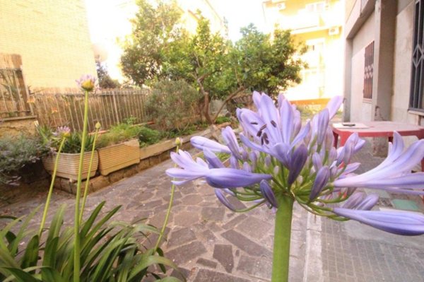 appartamento in vendita a Roma in zona Trionfale