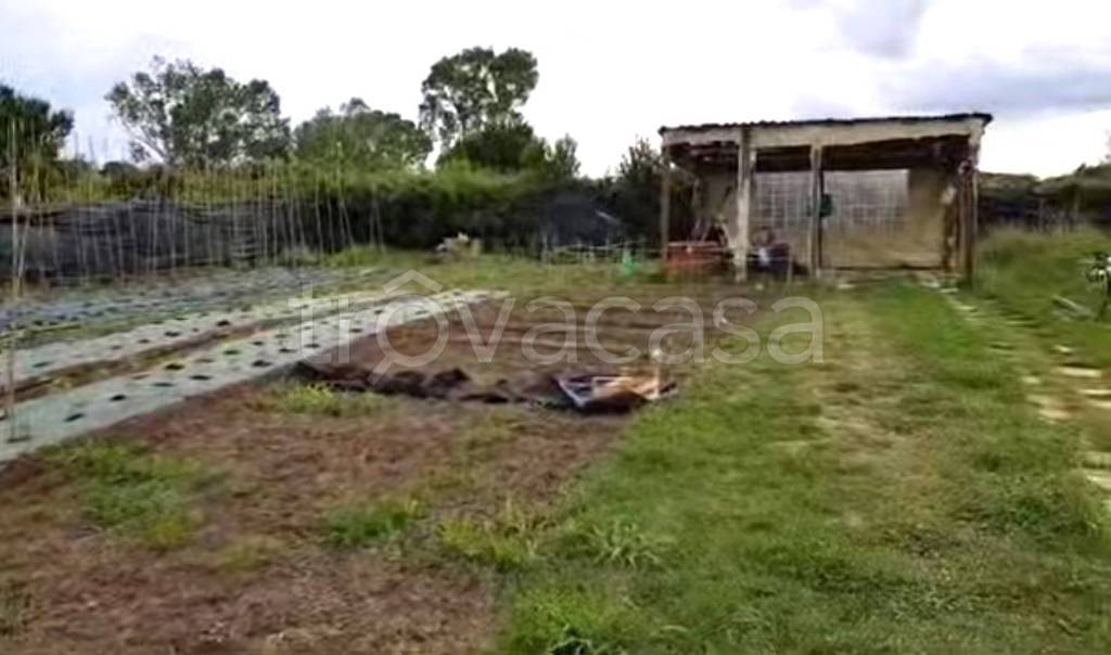 terreno agricolo in vendita a Roma in zona Casal Palocco