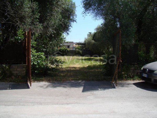 terreno agricolo in vendita a Roma in zona Selva Candida
