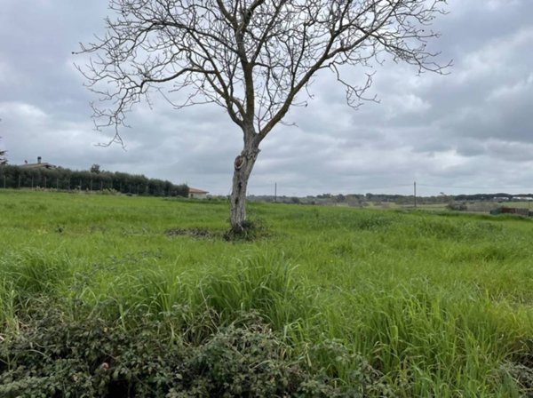 terreno edificabile in vendita a Roma in zona Tomba di Nerone