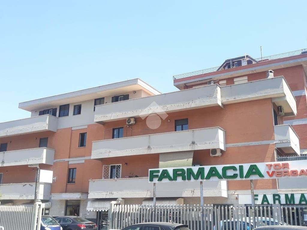 appartamento in vendita a Roma in zona Tor Vergata/Torrenova