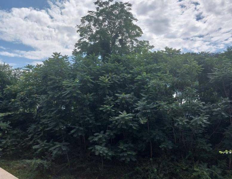 appartamento in vendita a Roma in zona Ardeatino