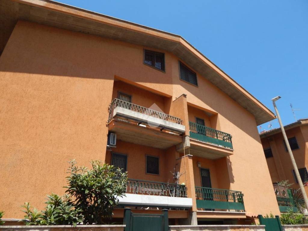 pentavano in vendita a Roma in zona Ostia