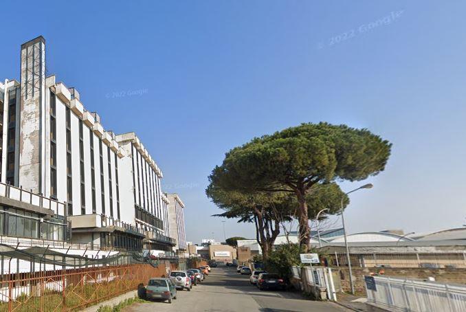 negozio in vendita a Roma in zona Tor Vergata/Torrenova