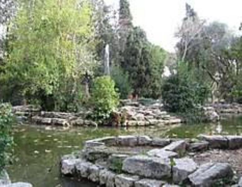 negozio in vendita a Roma in zona Trieste