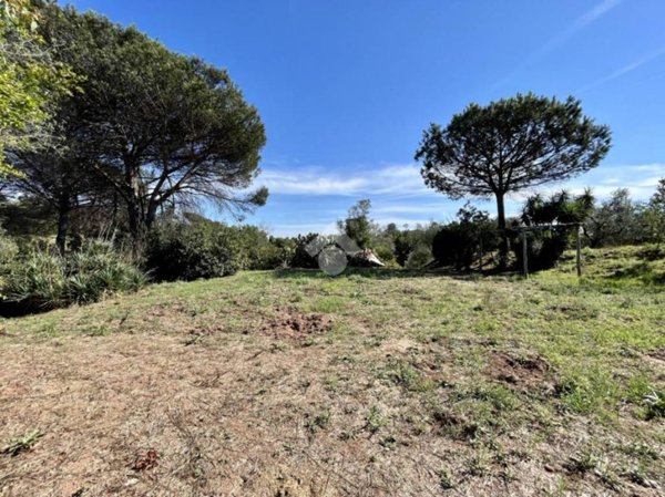 terreno agricolo in vendita a Roma in zona Trigoria