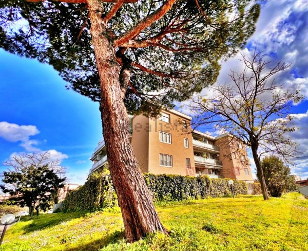 appartamento in vendita a Roma in zona Torre Spaccata