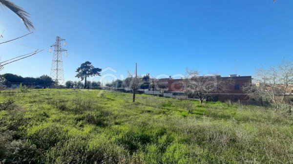 terreno agricolo in vendita a Roma in zona Massimina/Casal Lumbroso