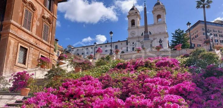appartamento in vendita a Roma in zona Campo Marzio
