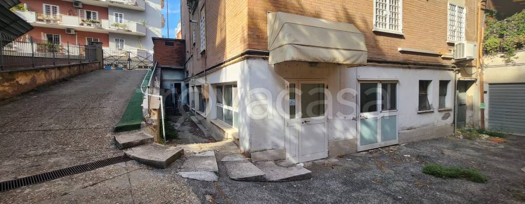 negozio in vendita a Roma in zona Monte Sacro/Talenti