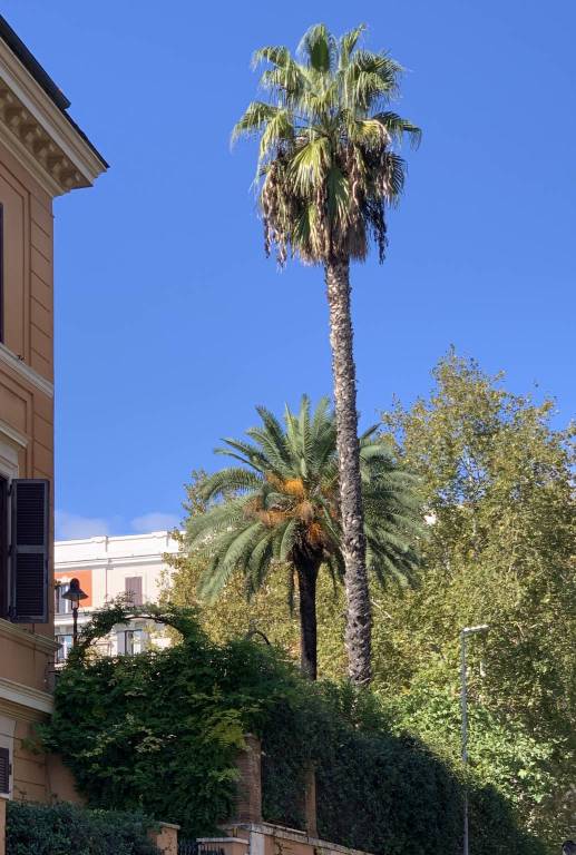 villa in vendita a Roma in zona Nomentano