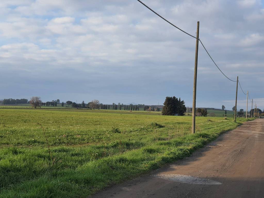 terreno agricolo in vendita a Roma in zona Olgiata