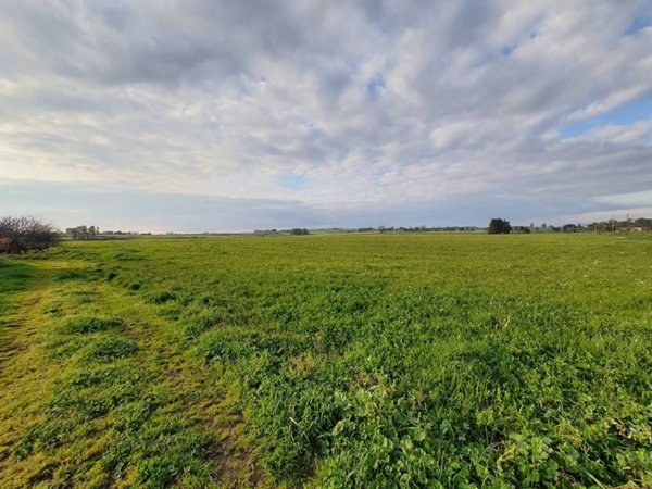 terreno agricolo in vendita a Roma in zona Olgiata