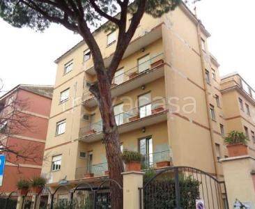 negozio in vendita a Roma in zona Cinecittà