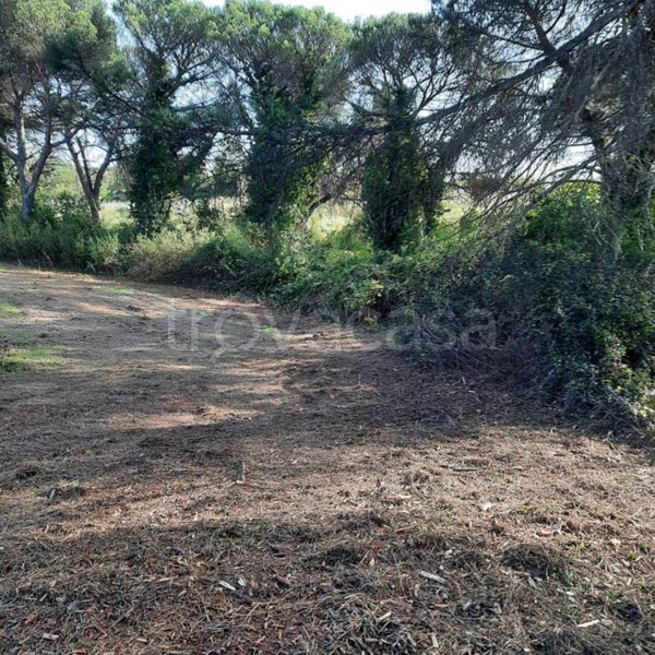 terreno agricolo in vendita a Roma in zona Flaminio