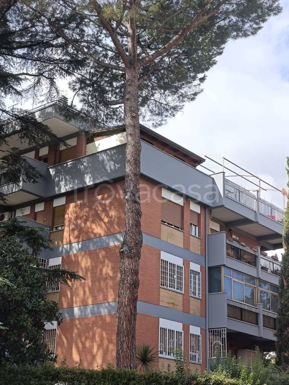 appartamento in vendita a Roma in zona Fidene