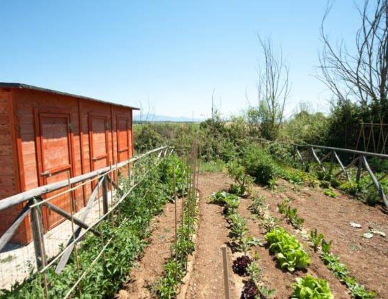 appartamento in vendita a Roma in zona Collatino