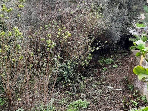 terreno agricolo in vendita a Roma in zona Trionfale