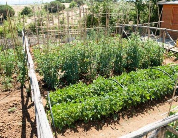 appartamento in vendita a Roma in zona Sette Bagni