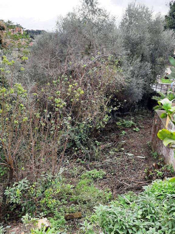 terreno agricolo in vendita a Roma in zona Trionfale