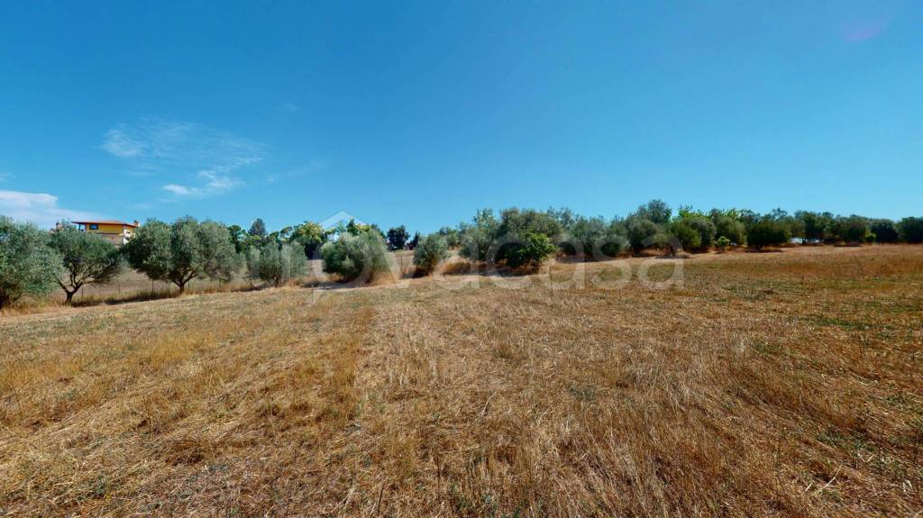 terreno agricolo in vendita a Roma in zona Castel di Leva