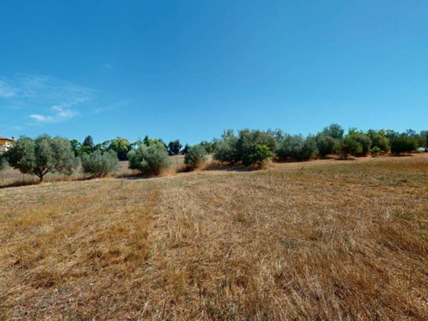 terreno agricolo in vendita a Roma in zona Castel di Leva