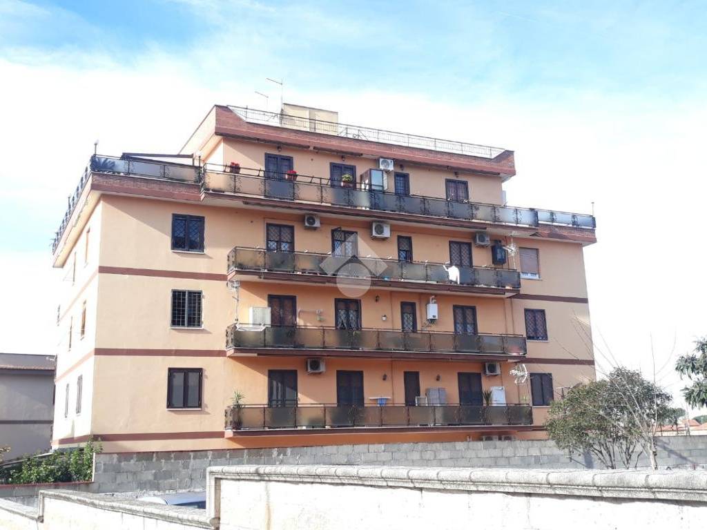 appartamento in vendita a Roma in zona Tor Vergata/Torrenova