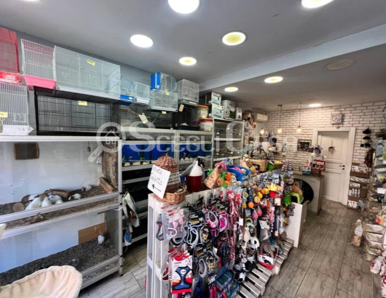 negozio in vendita a Roma in zona Appio Claudio